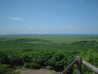 釧路湿原
