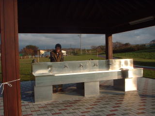 �V�����Ȃ���������