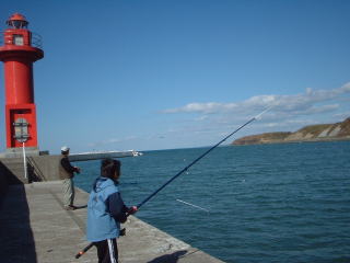 ���R�ʋ��`�̂�