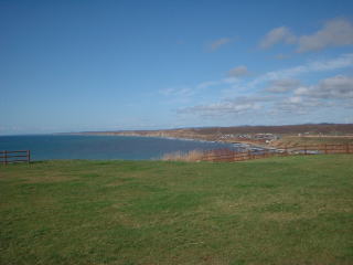 ���T�C�g�Ə@�J�u��