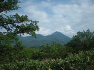 ��΂��病�P�x