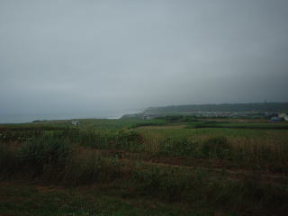 �t���[�T�C�g����k��]��