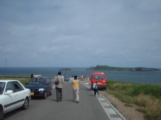 �X�R�g����